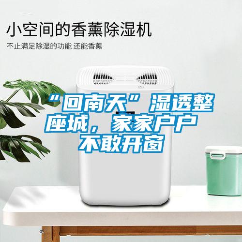 “回南天”濕透整座城，家家戶戶不敢開窗