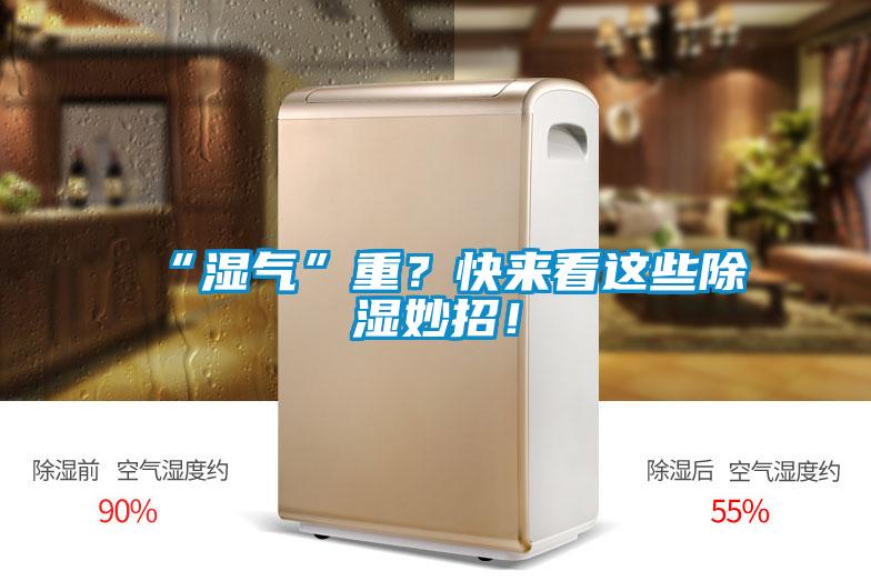 “濕氣”重?快來看這些除濕妙招!