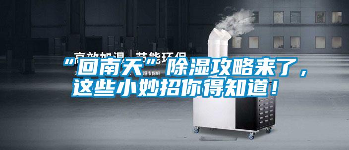 “回南天”除濕攻略來了，這些小妙招你得知道！