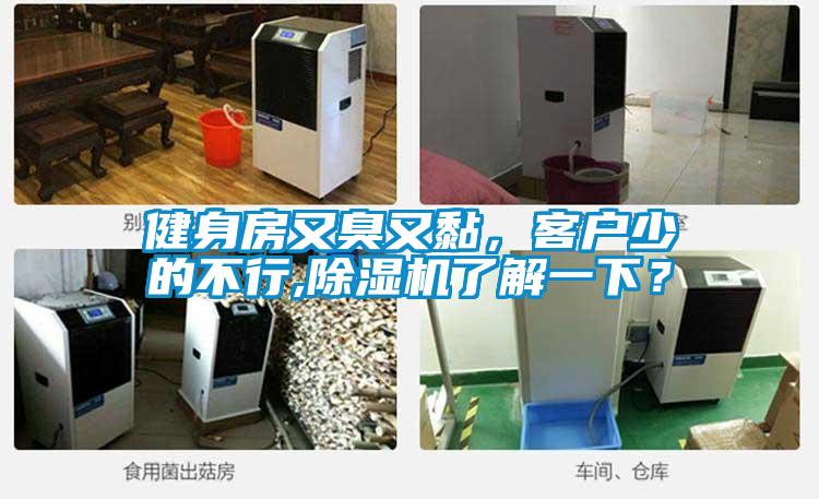 健身房又臭又黏，客戶少的不行,除濕機(jī)了解一下？