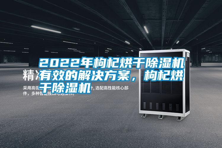 2022年枸杞烘干除濕機有效的解決方案,枸杞烘干除濕機