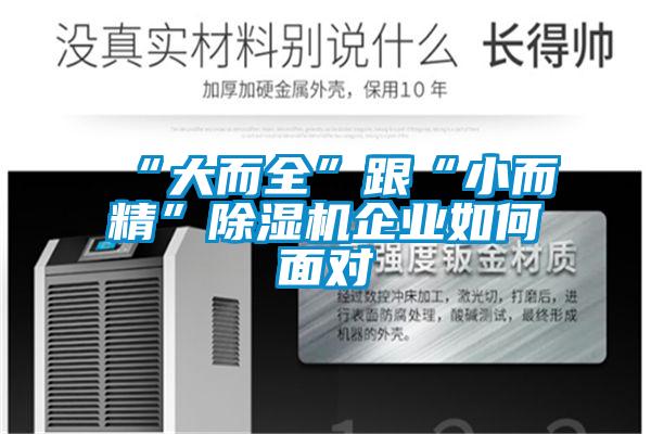 “大而全”跟“小而精”除濕機企業如何面對