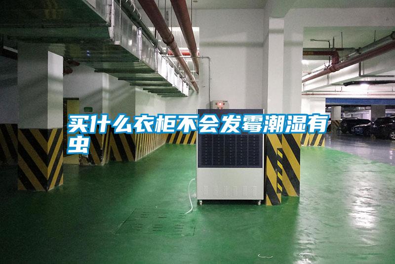 買什么衣柜不會(huì)發(fā)霉潮濕有蟲(chóng)