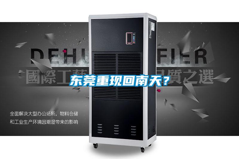 東莞重現回南天?