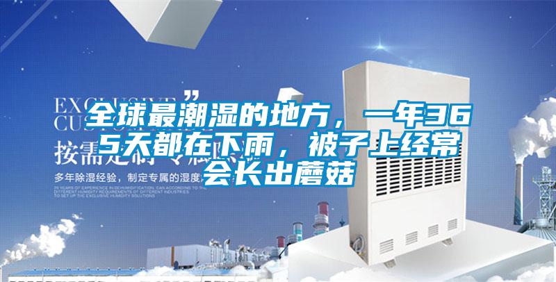 全球最潮濕的地方，一年365天都在下雨，被子上經常會長出蘑菇