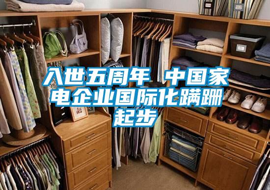 入世五周年 中國家電企業國際化蹣跚起步