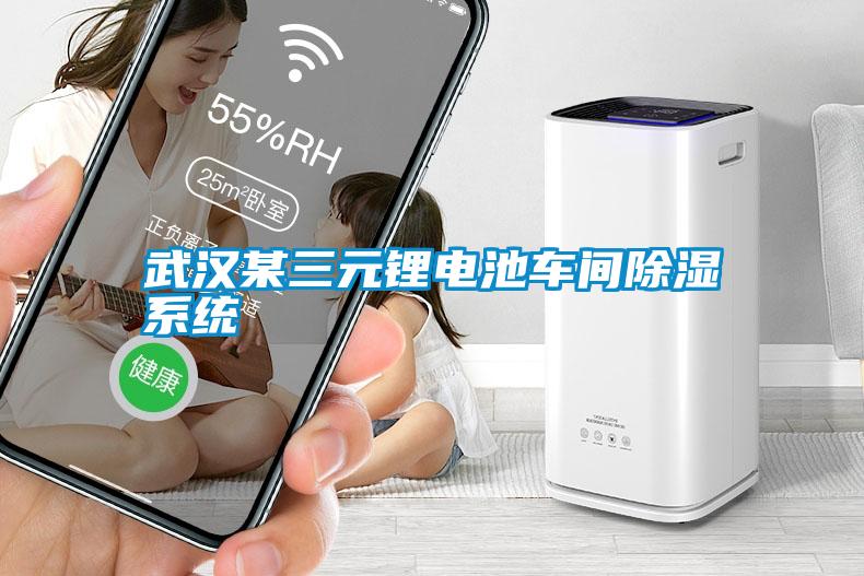武漢某三元鋰電池車間除濕系統