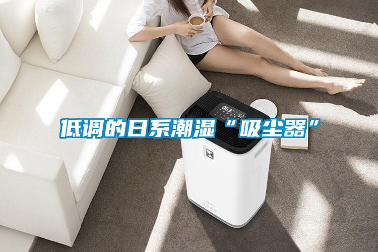 低調的日系潮濕“吸塵器”
