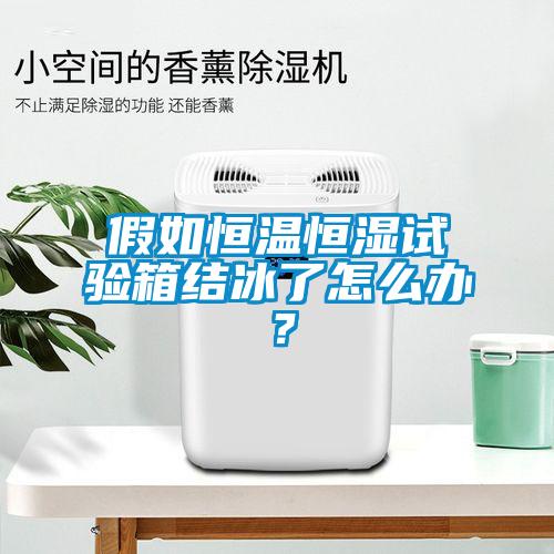 假如恒溫恒濕試驗箱結(jié)冰了怎么辦?
