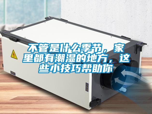 不管是什么季節，家里都有潮濕的地方，這些小技巧幫助你