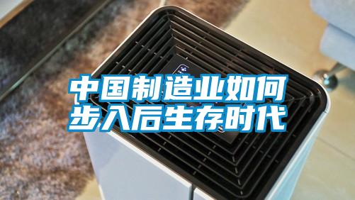 中國(guó)制造業(yè)如何步入后生存時(shí)代
