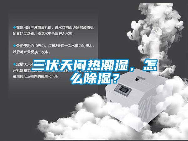 三伏天悶熱潮濕,怎么除濕?