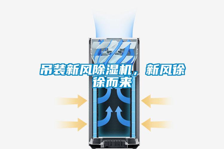 吊裝新風(fēng)除濕機(jī)，新風(fēng)徐徐而來(lái)