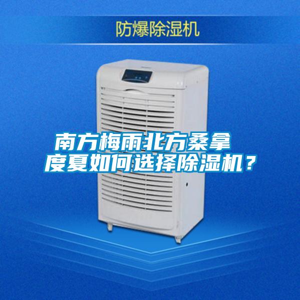 南方梅雨北方桑拿 度夏如何選擇除濕機(jī)？