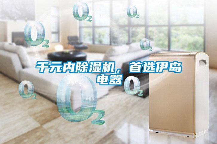 千元內除濕機，首選伊島電器