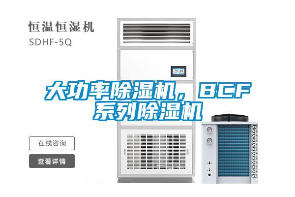 大功率除濕機，BCF系列除濕機