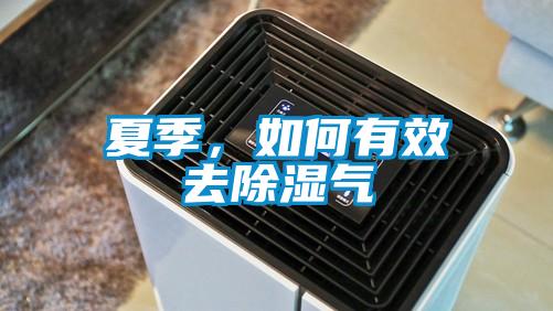 夏季，如何有效去除濕氣
