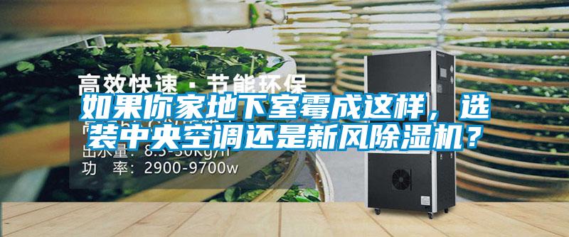 如果你家地下室霉成這樣,選裝中央空調還是新風除濕機?