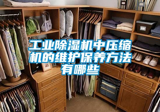 工業除濕機中壓縮機的維護保養方法有哪些