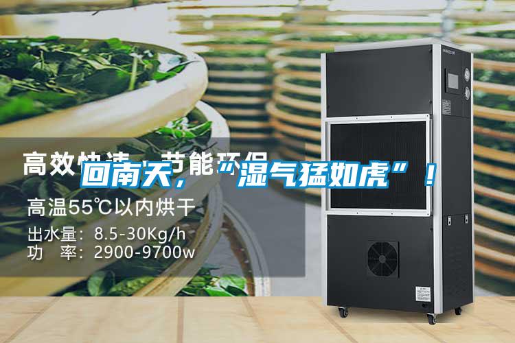 回南天，“濕氣猛如虎”！