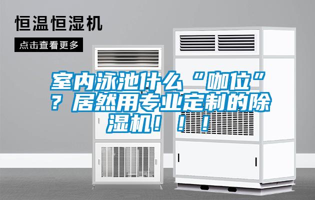 室內泳池什么“咖位”?居然用專業定制的除濕機!!!