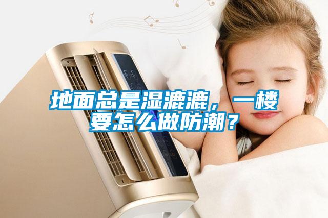地面總是濕漉漉,一樓要怎么做防潮?