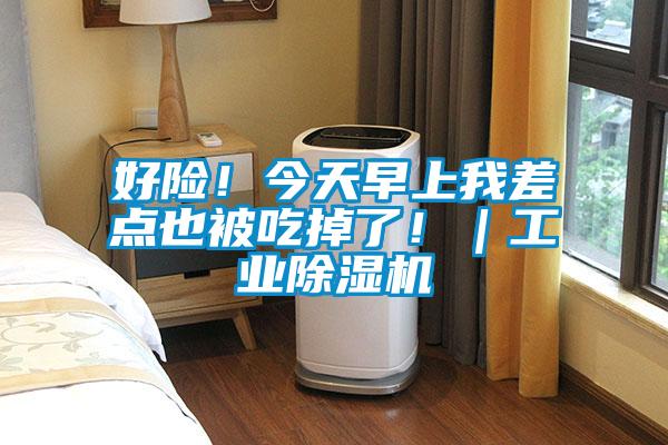 好險!今天早上我差點也被吃掉了!|工業除濕機