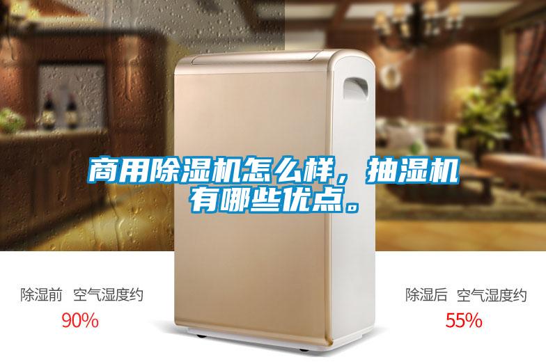 商用除濕機怎么樣,抽濕機有哪些優(yōu)點。