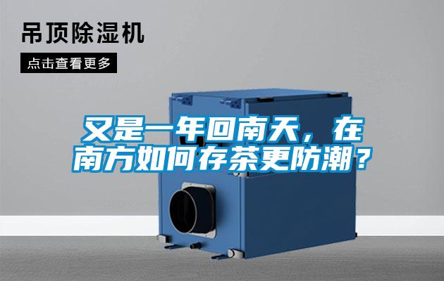又是一年回南天,在南方如何存茶更防潮?