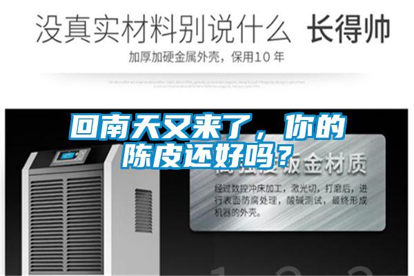 回南天又來了,你的陳皮還好嗎?