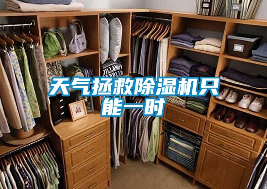 天氣拯救除濕機(jī)只能一時