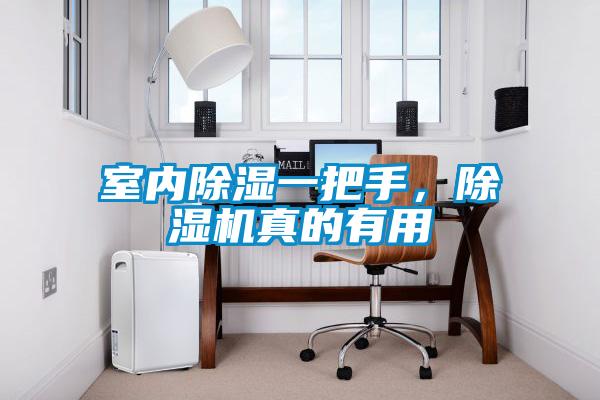 室內除濕一把手,除濕機真的有用