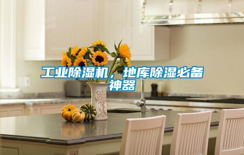 工業(yè)除濕機(jī),地庫除濕必備神器