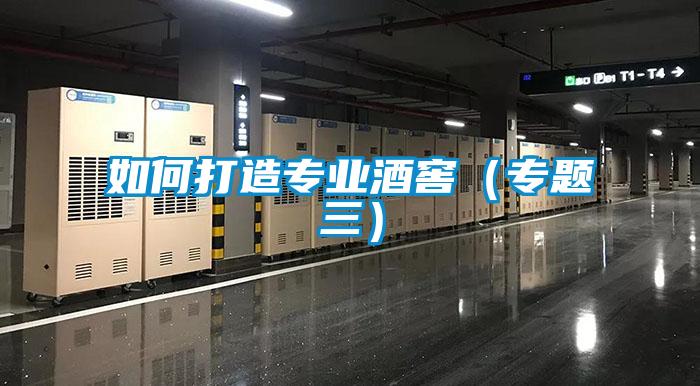 如何打造專業酒窖(專題三)