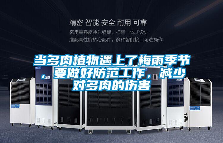 當多肉植物遇上了梅雨季節,要做好防范工作,減少對多肉的傷害