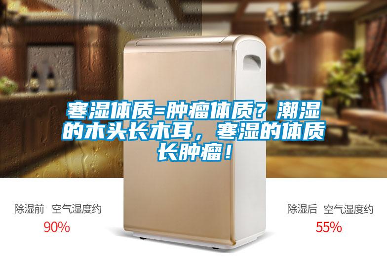 寒濕體質(zhì)=腫瘤體質(zhì)？潮濕的木頭長木耳，寒濕的體質(zhì)長腫瘤！