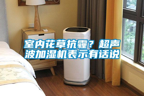 室內花草抗霾？超聲波加濕機表示有話說