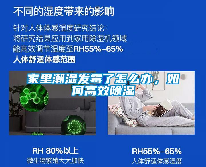 家里潮濕發(fā)霉了怎么辦,如何高效除濕