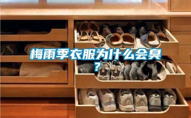 梅雨季衣服為什么會臭？