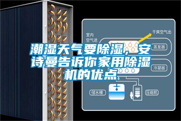 潮濕天氣要除濕,安詩曼告訴你家用除濕機的優點