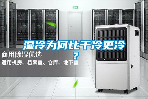 濕冷為何比干冷更冷？