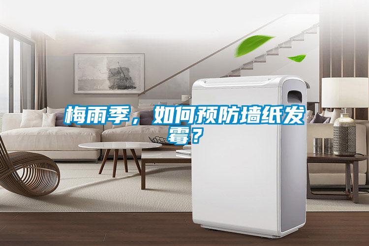 梅雨季，如何預(yù)防墻紙發(fā)霉？