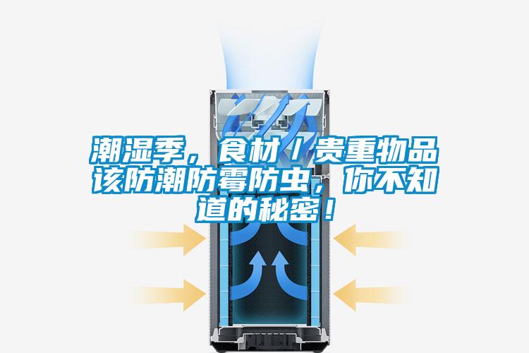 潮濕季,食材/貴重物品該防潮防霉防蟲,你不知道的秘密!