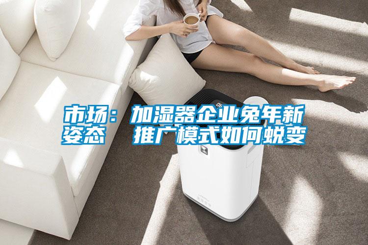 市場：加濕器企業兔年新姿態  推廣模式如何蛻變