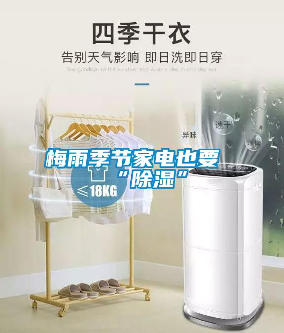 梅雨季節家電也要“除濕”