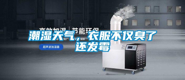 潮濕天氣,衣服不僅臭了還發(fā)霉