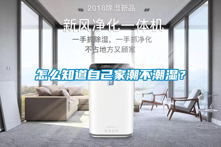 怎么知道自己家潮不潮濕？