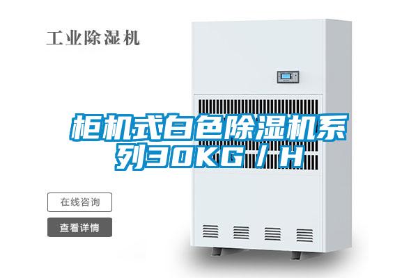 柜機式白色除濕機系列30KG/H