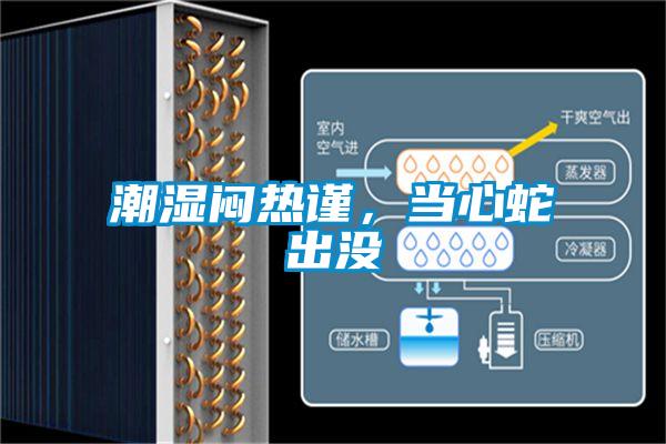 潮濕悶熱謹(jǐn),當(dāng)心蛇出沒