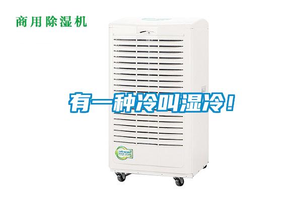 有一種冷叫濕冷！
